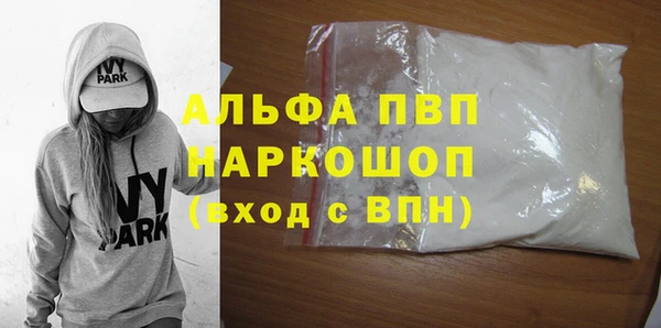 стаф Бородино