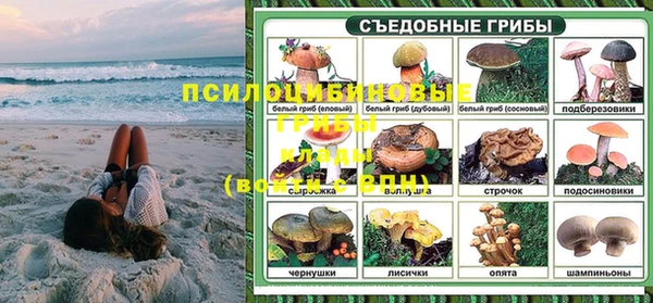стаф Бородино