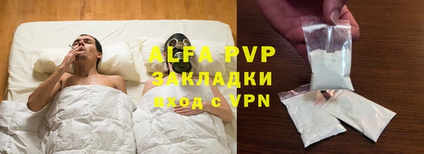стаф Бородино