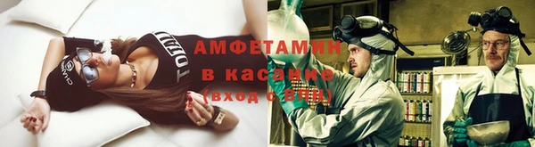стаф Бородино