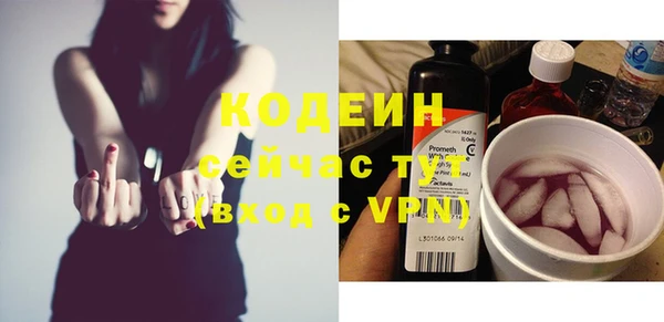 стаф Бородино
