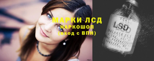 стаф Бородино