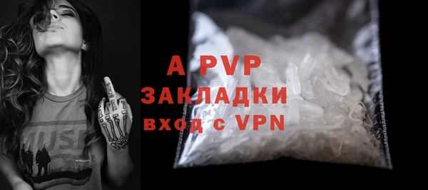 стаф Бородино