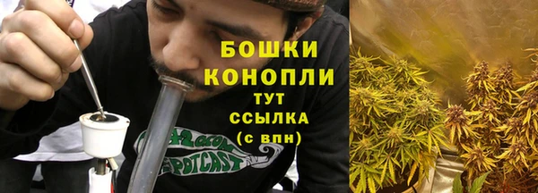 молекула духа Бугульма