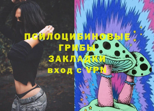мет Елабуга